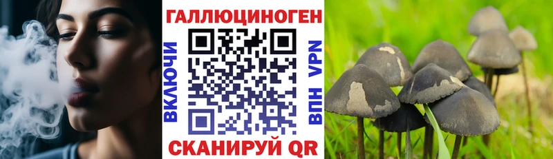 Купить закладки  Неман  Галлюциногенные грибы Cubensis 