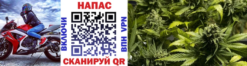 Купить где  Неман  Бошки Шишки индика 